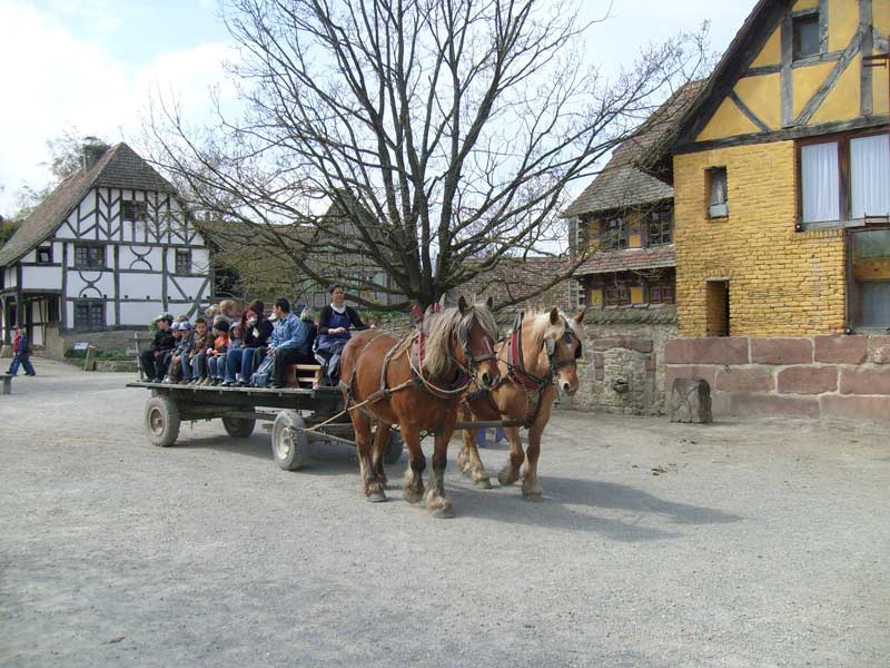 Découverte de l'Alsace et de Colmar