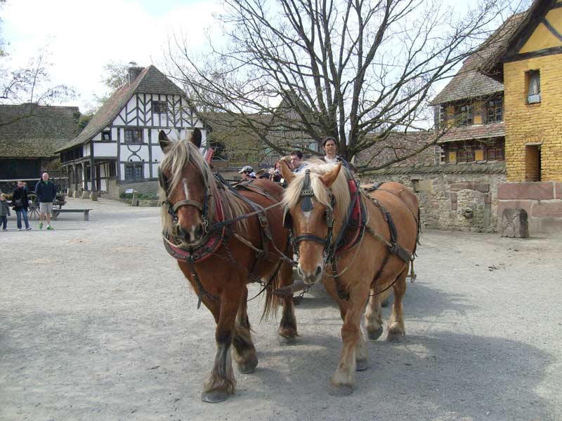 Découverte de l'Alsace et de Colmar