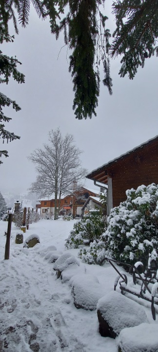 Neige en 2023
