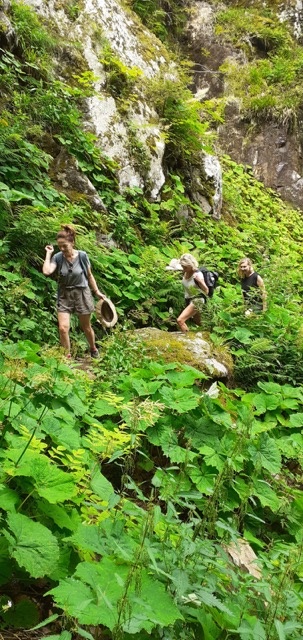 La rando, cest super dans les Vosges