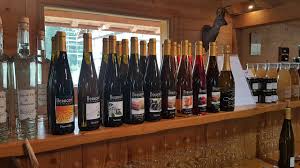 Domaine de Beaucerf à Ventron