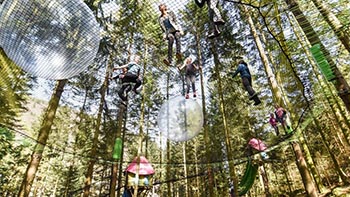 Parc aventure